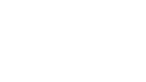 Bridge Hospice 2024 Award
